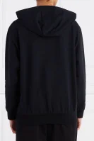 Sweatshirt | Regular Fit EA7 schwarz