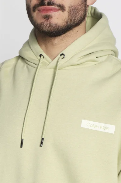 Sweatshirt | Regular Fit Calvin Klein Pistazie